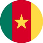 Web Design Company Cameroon