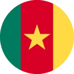 Web Design Company Cameroon