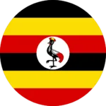 Website Design Company in Uganda