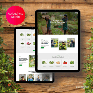 SME Business Web Design Agribusiness Web Design in Ghana