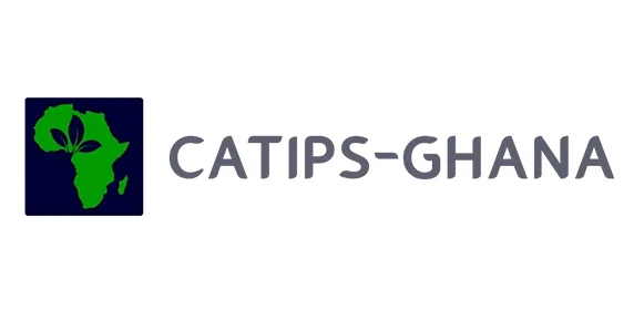 Best Web Design Company in Ghana